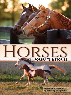 cover image of Horses